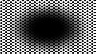 122780100.jpg