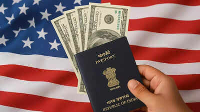 VS-Visa-Fee-Hike.jpg